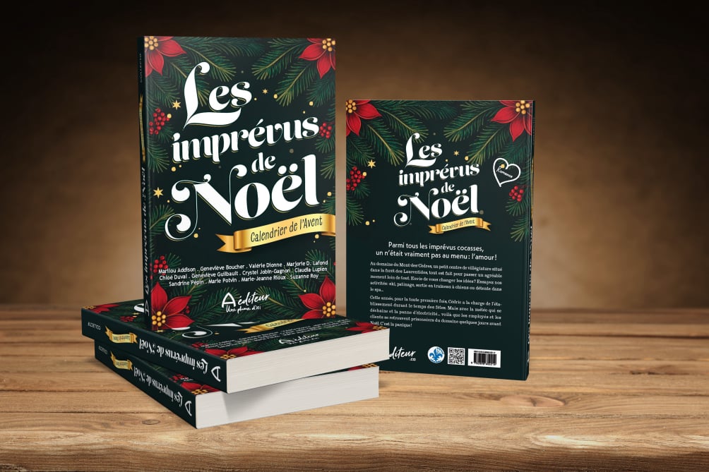 LES IMPRÉVUS DE NOËL